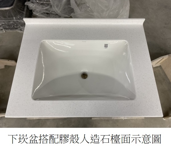 【 麗室衛浴】美國 KOHLER活動促銷 CAXTON® 長方形台下式浴室面盆 K-20414T-0