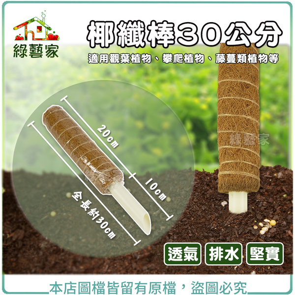 【綠藝家】椰纖棒 30公分(可串接式) (塑膠中柱防霉)攀爬類植物.水苔棒.椰纖柱.椰棒