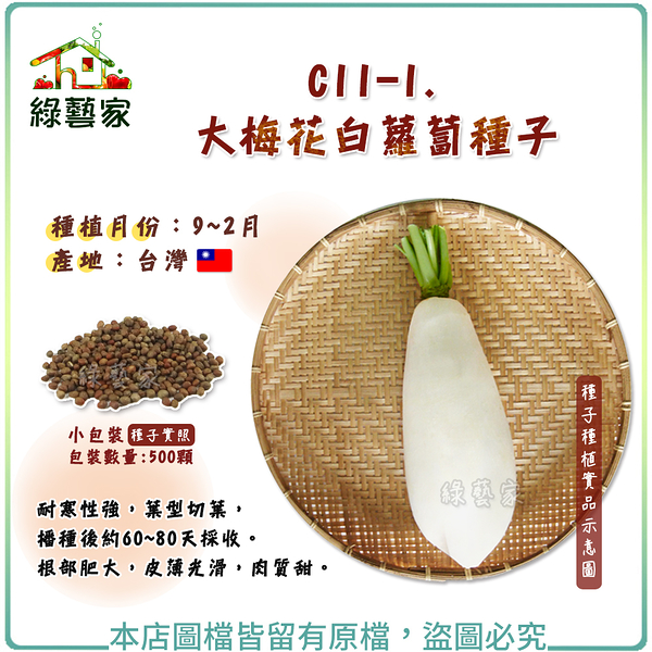 【綠藝家】C11-1.大梅花白蘿蔔種子500顆