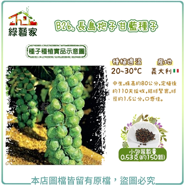 【綠藝家】B26.長島抱子甘藍種子0.53克 (約150顆)