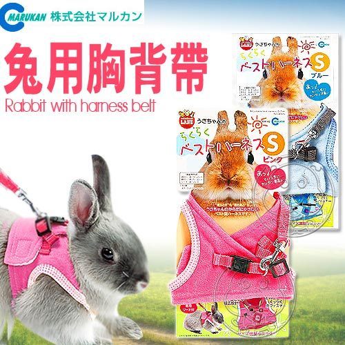 【培菓幸福寵物專營店】日本品牌MARUKAN》兔用胸背帶S (附有專用牽繩)