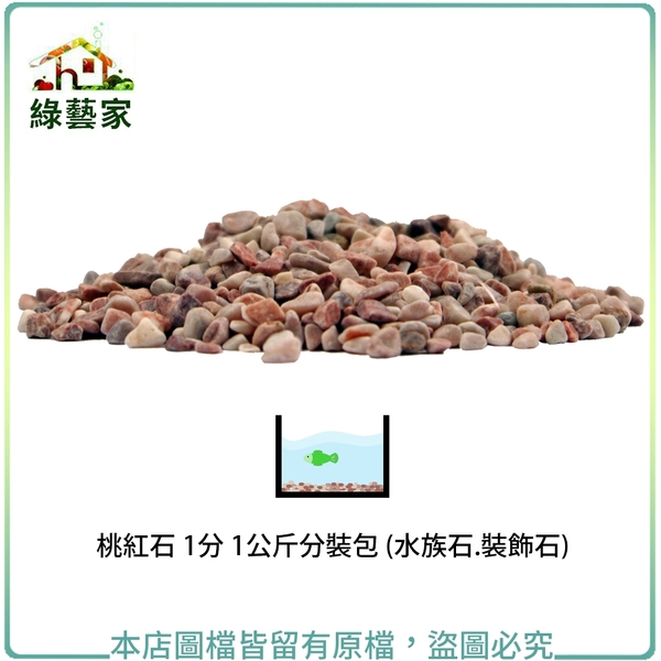 【綠藝家】桃紅石 1分 1公斤分裝包 (水族石.裝飾石)