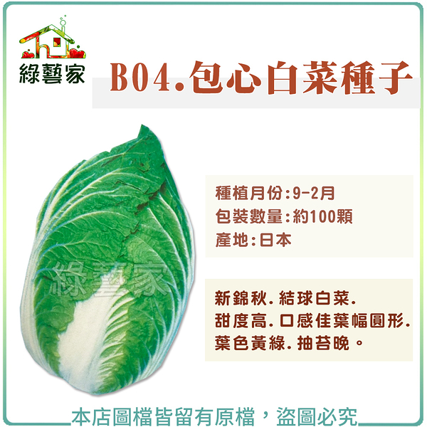 【綠藝家】B04.包心白菜種子100顆