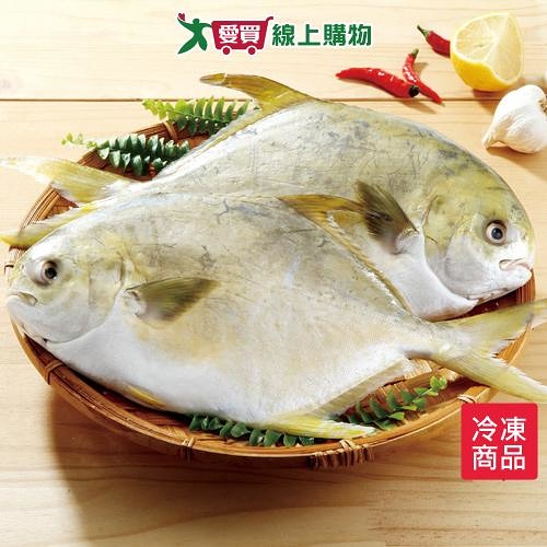 金鯧三去500-600g/尾【愛買冷凍】