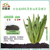 【綠藝家】大包裝A94.翠香油麥菜種子 55克(約44000顆)