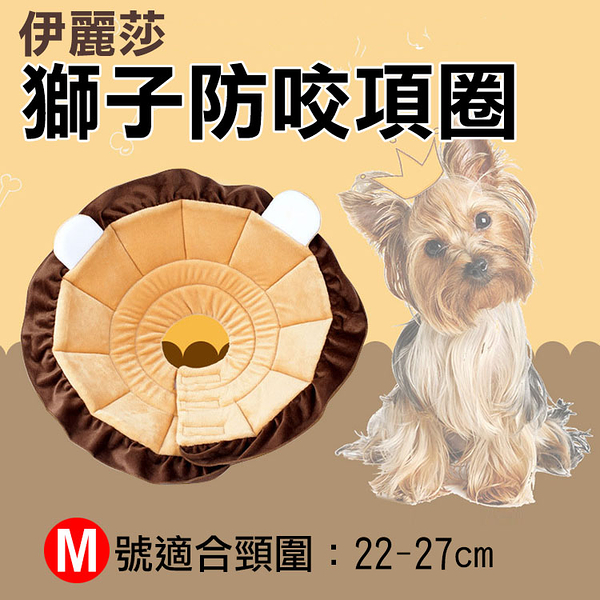 鼎鴻 伊莉莎白防咬項圈-獅子款 M號 小型犬 防抓咬舔 安全耐用 方便 舒適 寵物美容脖子頭套