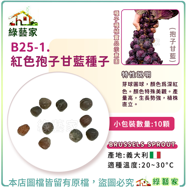 【綠藝家】B25-1.紅色孢子甘藍種子10顆(抱子甘藍) 蔬菜種子 種子 球芽甘藍 結球種子 園藝 種植