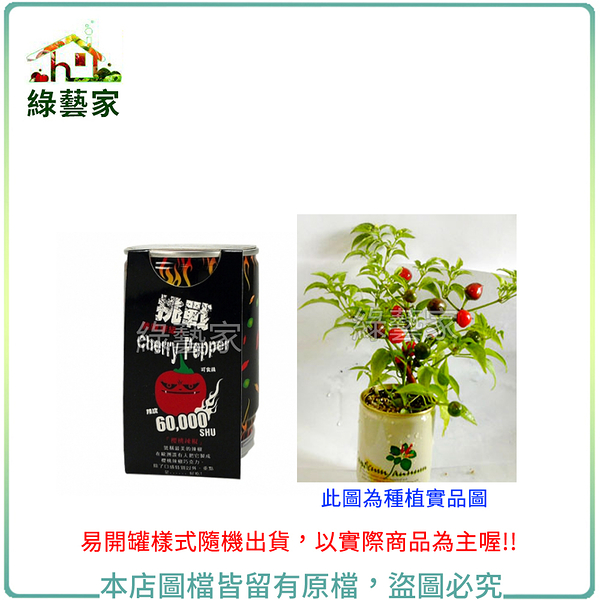 【綠藝家】iPlant易開罐花卉-櫻桃辣椒