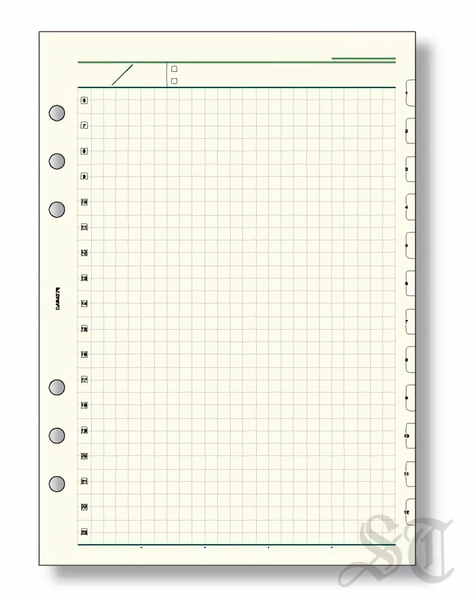 Raymay Davinci系列一日自由記錄方眼格內頁紙a5尺寸6孔萬用手冊手帳用dar4276 宣弟精品文具館 宣弟精品文具館 Yahoo奇摩超級商城