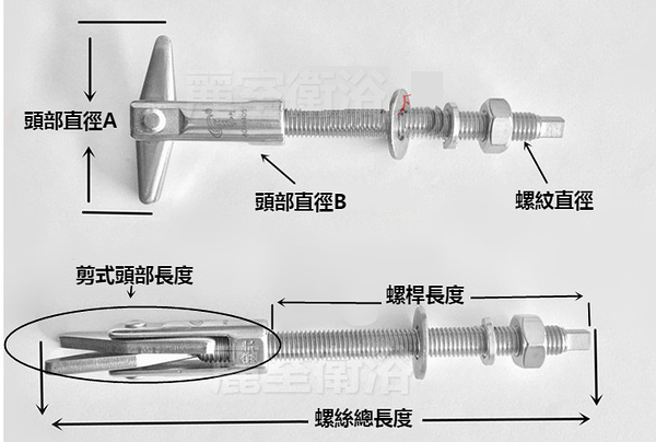 【 麗室衛浴】中空磚 輕隔間專用白鐵中空壁用錨栓螺絲 抗衝擊、耐腐蝕1支 A型M6*105