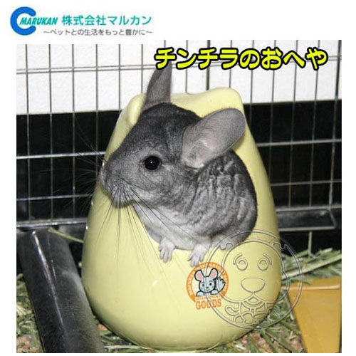 【培菓幸福寵物專營店】《MARUKAN》MR-334 寵物鼠用 陶瓷造型睡窩-L product thumbnail 3