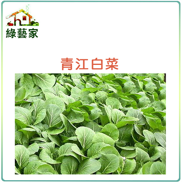 【綠藝家】A03.青江白菜種子20克(約8000顆)