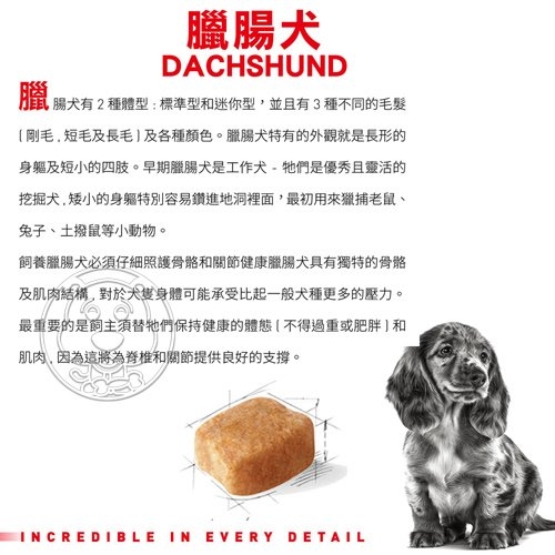 【培菓幸福寵物專營店】BHN 新皇家臘腸幼犬DSP 1.5KG (可超取) product thumbnail 3