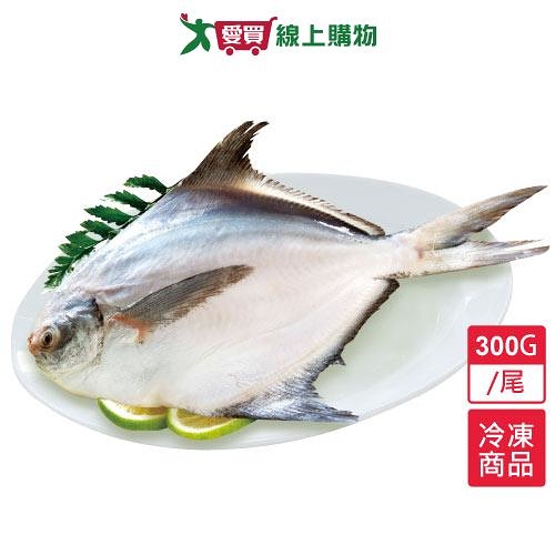 嚴選新鮮白鯧300~400g/尾【愛買冷凍】