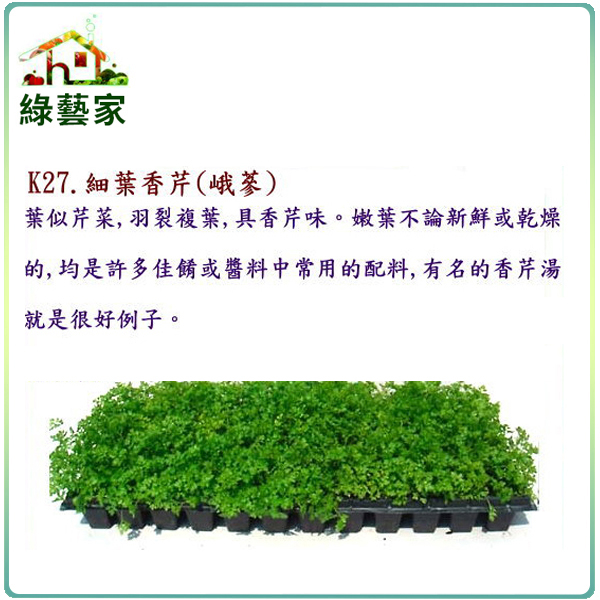 【綠藝家】K27.細葉香芹種子(峨蔘)1200顆