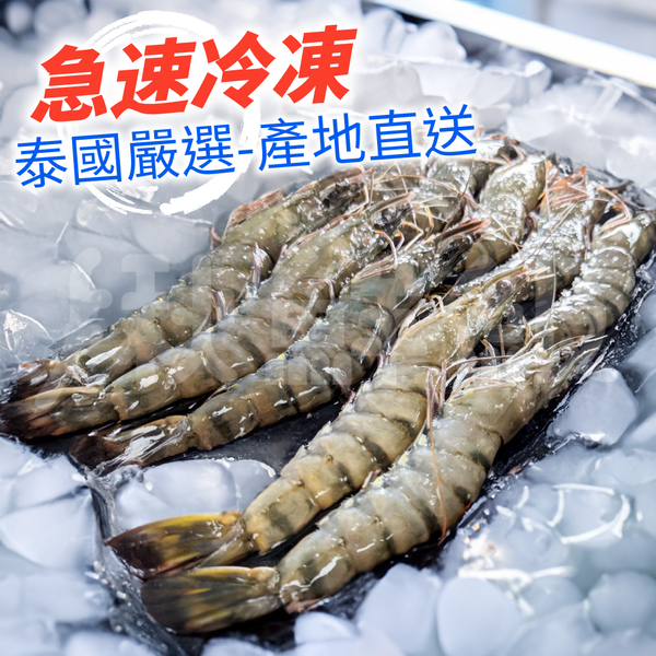 海神王 冷凍生白蝦 21/25P 約600g/盒 淨重約 500g 泰國 冷凍食品 product thumbnail 3