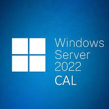 微軟 Windows Server CAL 2022 1pk DSP OEI 5 Clt User CAL 中文隨機版