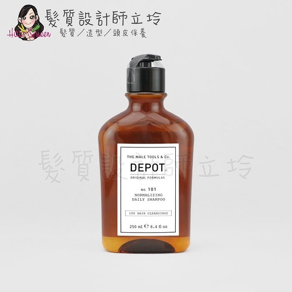 立坽『洗髮精』得軼公司貨 DEPOT 100清潔系列 101 日用平衡洗髮精250ml HS01 HS08