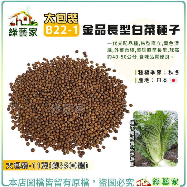 【綠藝家】大包裝B22-1.金品長型白菜種子11克(約3500顆)F1，株直立，葉深綠，外葉微縐