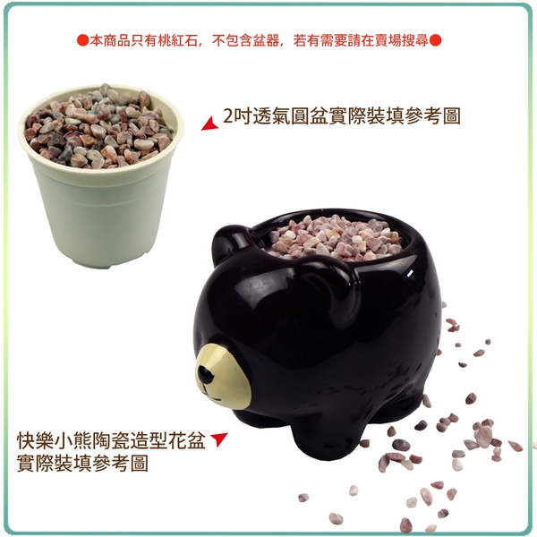 【綠藝家】桃紅石 1分 1公斤分裝包 (水族石.裝飾石) product thumbnail 2