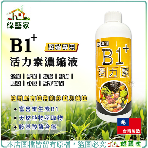 【綠藝家】B1+活力素濃縮液500ML 植物活力素 天然植物萃取 根系生長使用 扦插 嫁接 分株 壓條 定植