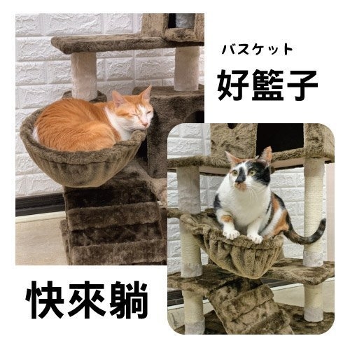 【現貨+出清+含運】日本寵喵樂 豪華方塊大台 貓跳台/貓爬窩/貓抓 TW003-咖啡色 product thumbnail 6