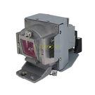 BenQ-OEM副廠投影機燈泡5J.JD205.001/適用機型MW603