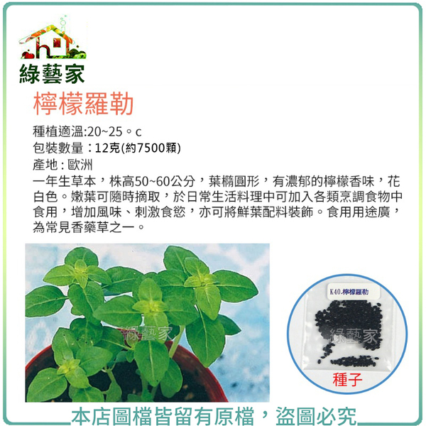 【綠藝家】大包裝K40.檸檬羅勒種子12克(約7500顆)