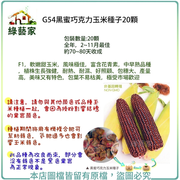 【綠藝家】G54黑蜜巧克力玉米種子20顆