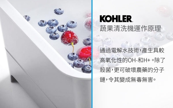 【麗室衛浴】KOHLER 76792 智能蔬果清洗機電解技術清洗、殺菌、除農藥 product thumbnail 3