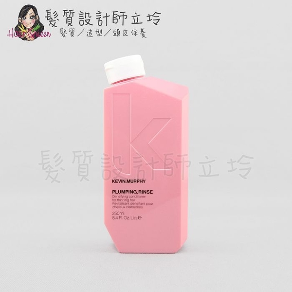 立坽『瞬間護髮』派力國際公司貨 KEVIN.MURPHY PLUMPING.RINSE乒乓潤護250ml HH03