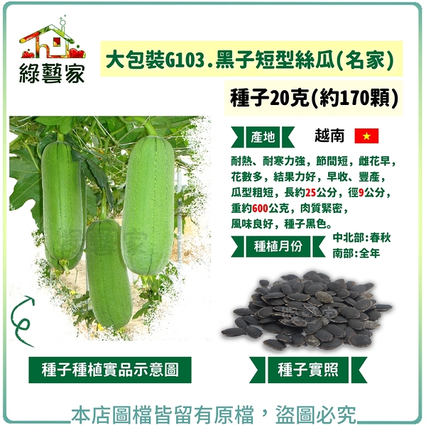 【綠藝家】大包裝G103.黑子短型絲瓜(名家) 種子20克(約170顆)