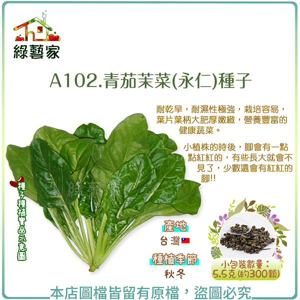 【綠藝家】 A102青茄茉菜(永仁)種子5.5克(約300顆)