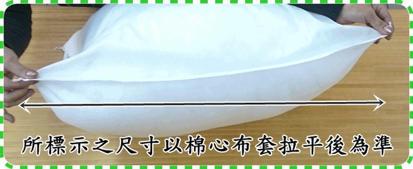 棉芯 棉心 方型抱枕心 棉芯45x45公分【老婆當家】 product thumbnail 3