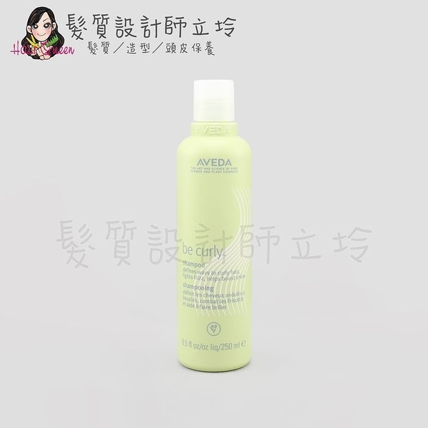 立坽『洗髮精』肯夢公司貨 AVEDA 卷髮洗髮精250ml HH11