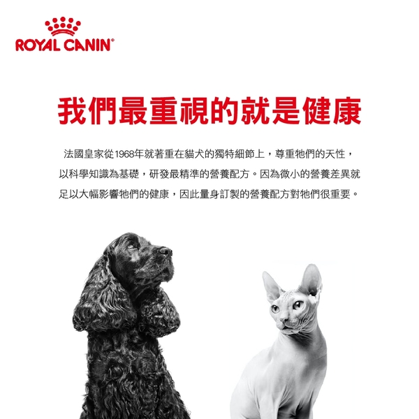 法國皇家 ROYAL CANIN 貓用 RSF26 腎臟嗜口性配方 4KG 處方 貓飼料 product thumbnail 2