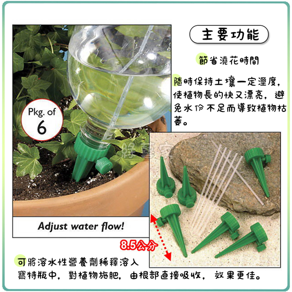 【綠藝家】可調式盆栽自動澆水器6入/組 product thumbnail 3
