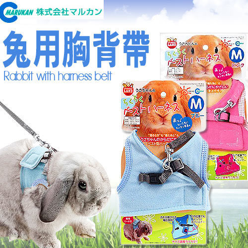 【培菓幸福寵物專營店】日本品牌MARUKAN》兔用胸背帶M (自行調整所需鬆緊 )