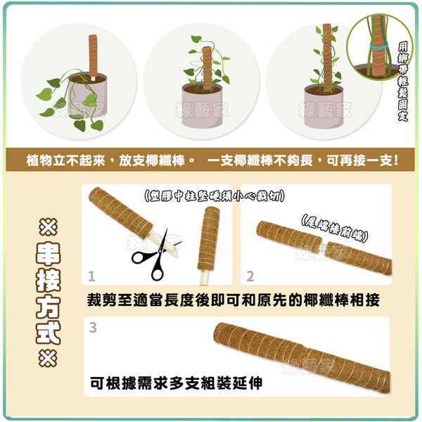 【綠藝家】椰纖棒 60公分(可串接式)(塑膠中柱防霉)攀爬類植物.水苔棒.椰纖柱.椰棒 product thumbnail 3