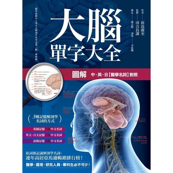 圖解大腦單字大全 | 拾書所