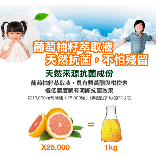 南僑水晶葡萄柚籽抗菌洗手液320g/瓶 product thumbnail 4