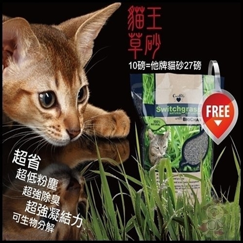 『寵喵樂旗艦店』【二盒】《Ourpets 貓王》環保草砂貓砂-10磅(4.55kg)