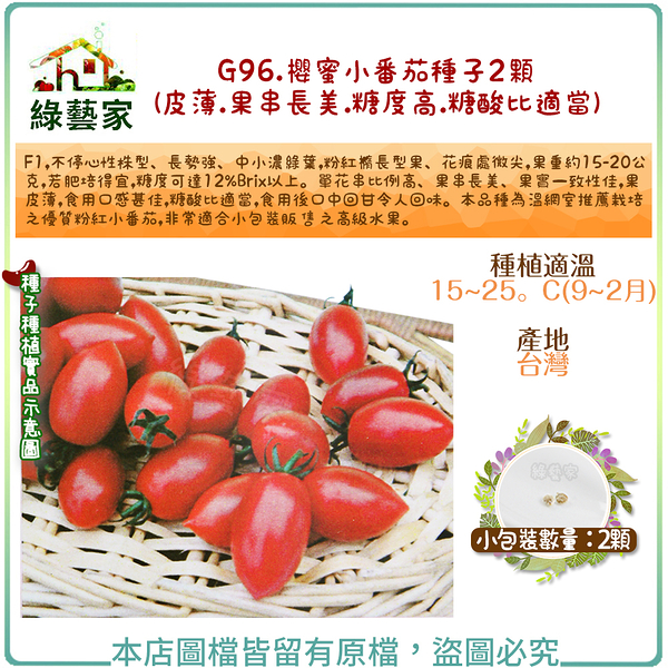 【綠藝家】G96.櫻蜜小番茄種子2顆(皮薄蕃茄.果串長美.糖度高.糖酸比適當)