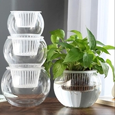 水培瓶植物透明玻璃花瓶容器綠蘿花盆魚花共養缸水養擺件器皿【慢客生活】