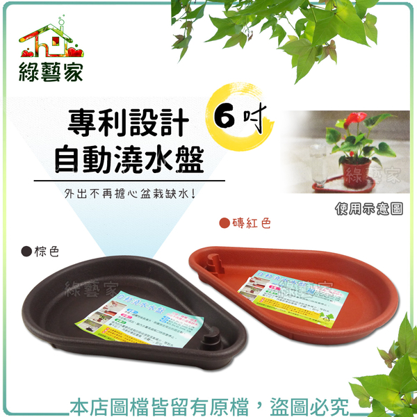 【綠藝家】專利設計自動澆水盤6吋(磚紅色、棕色共兩色)