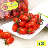 【南紡購物中心】【愛蜜果】溫室玉女小番茄2盒(600克/每盒)