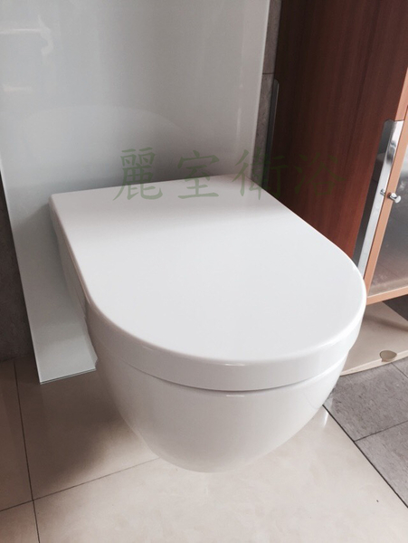 【麗室衛浴】高品質 包覆式美耐皿馬桶蓋 抗菌 緩降歐規 BU108 A-459-6 product thumbnail 6