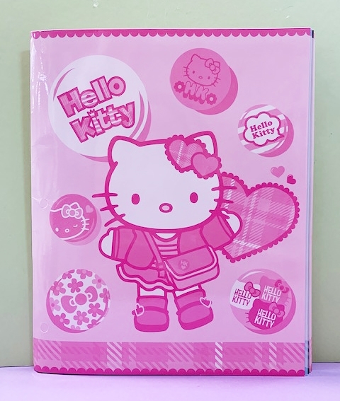 【震撼精品百貨】Hello Kitty 凱蒂貓~三麗鷗 KITTY 日本文件套/資料夾(五入)-格紋#97879