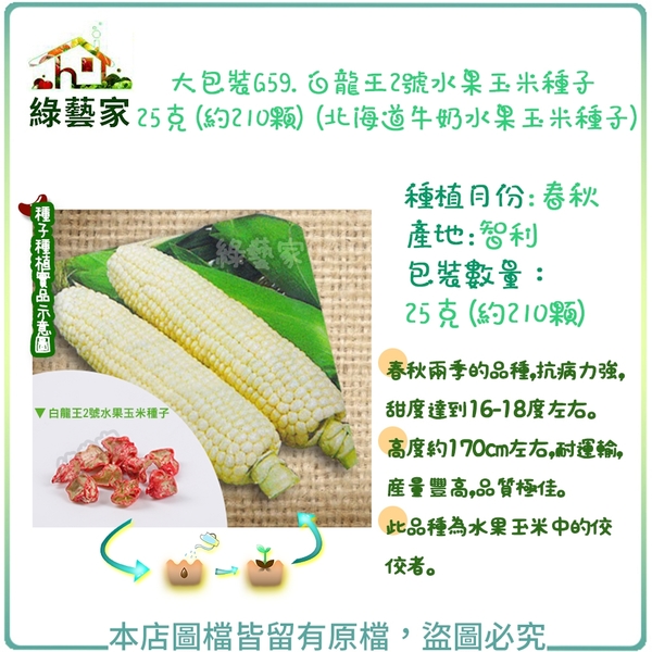 【綠藝家】大包裝G59.白龍王2號水果玉米種子25克(約210顆)(北海道牛奶水果玉米種子)