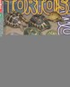 二手書R2YB 2002年7月初版《AquaNet 水族情報2 TORTOISE
